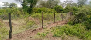 Lake Elementaita Land for Sale