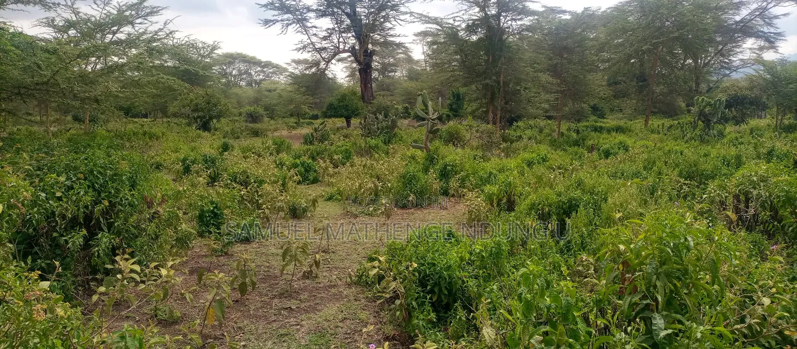 Lake Elementaita Land for Sale