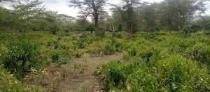 Lake Elementaita Land for Sale