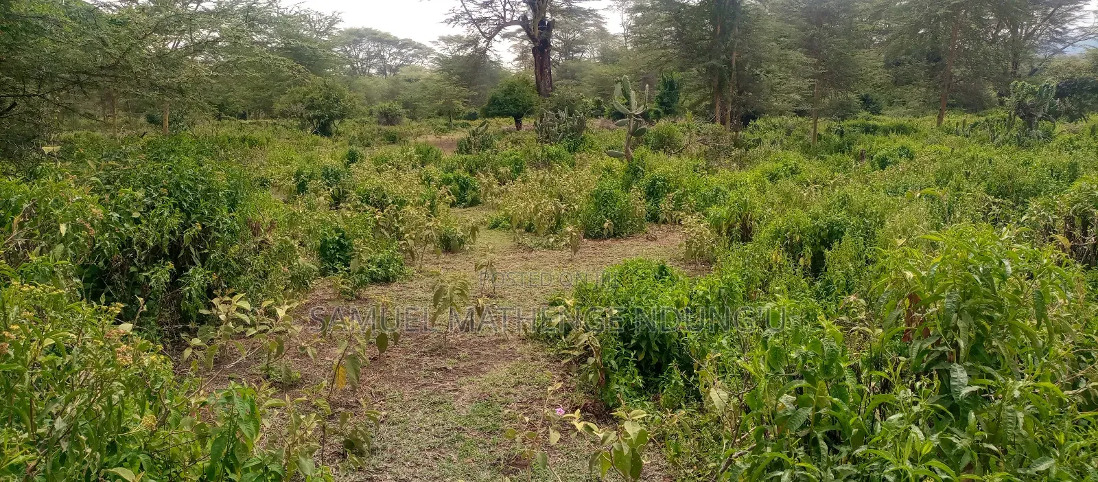 Lake Elementaita Land for Sale