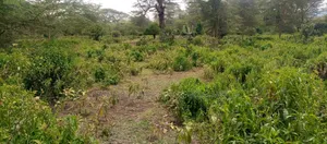 Lake Elementaita Land for Sale