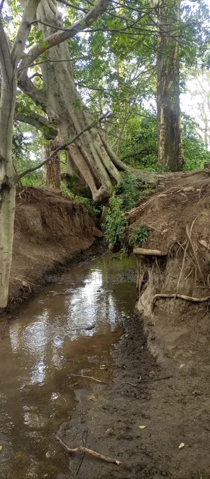 Lake Elementaita Land for Sale