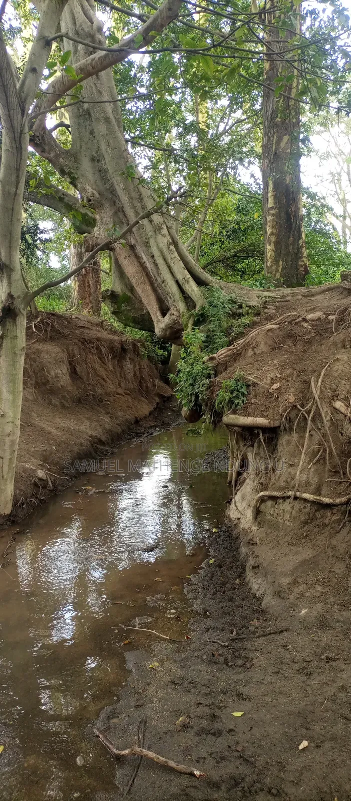 Lake Elementaita Land for Sale