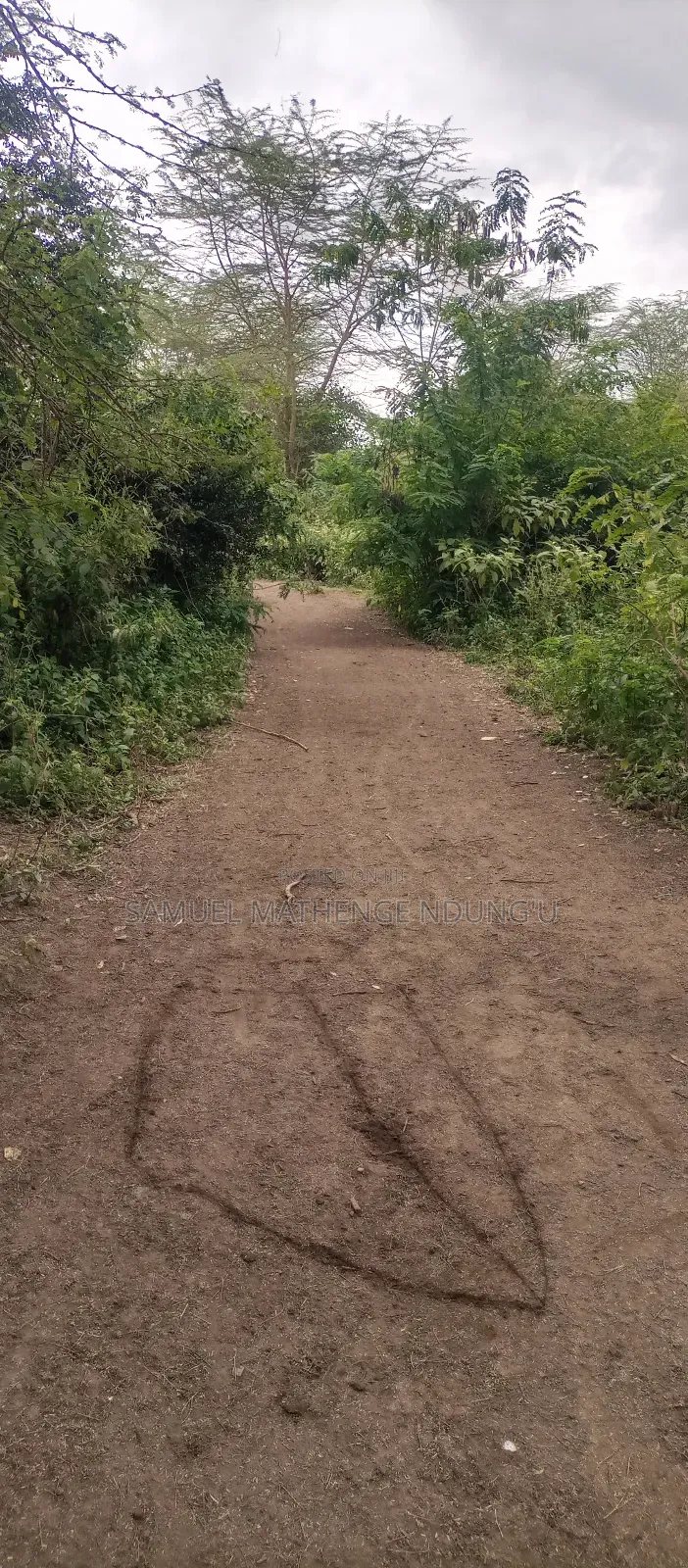Lake Elementaita Land for Sale