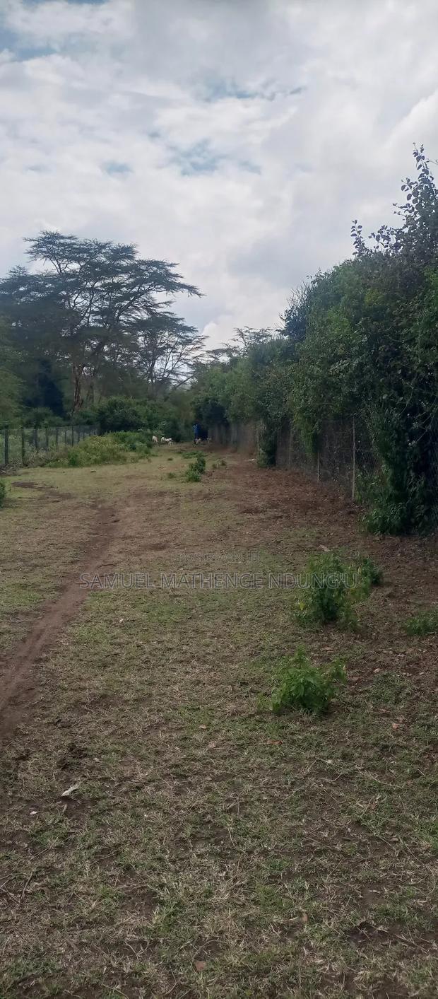 Lake Elementaita Land for Sale - thumbnail 9