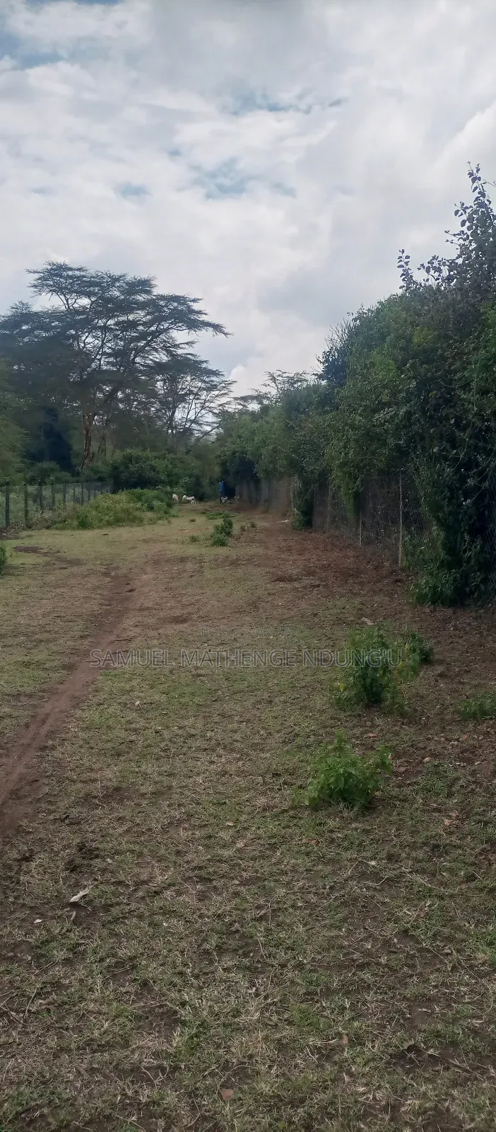 Lake Elementaita Land for Sale