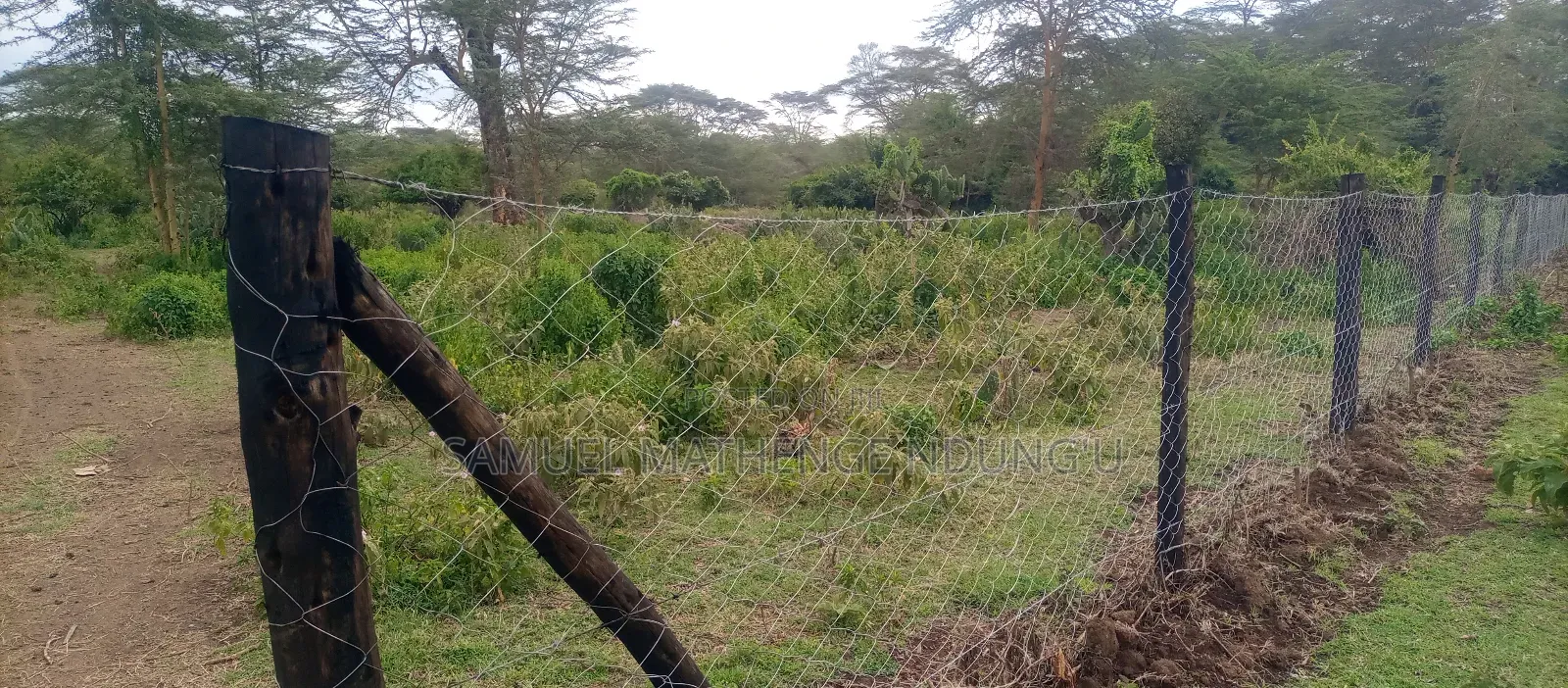 Lake Elementaita Land for Sale