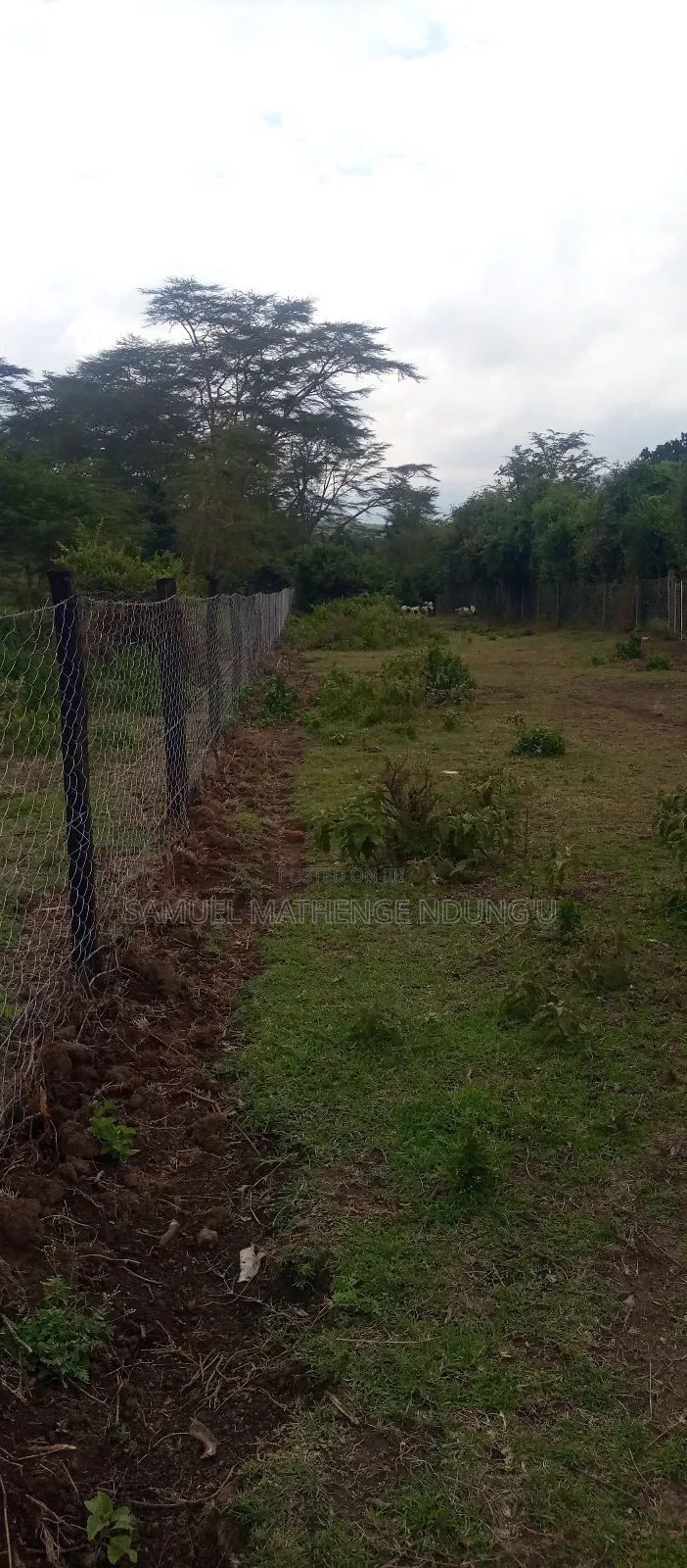 Lake Elementaita Land for Sale