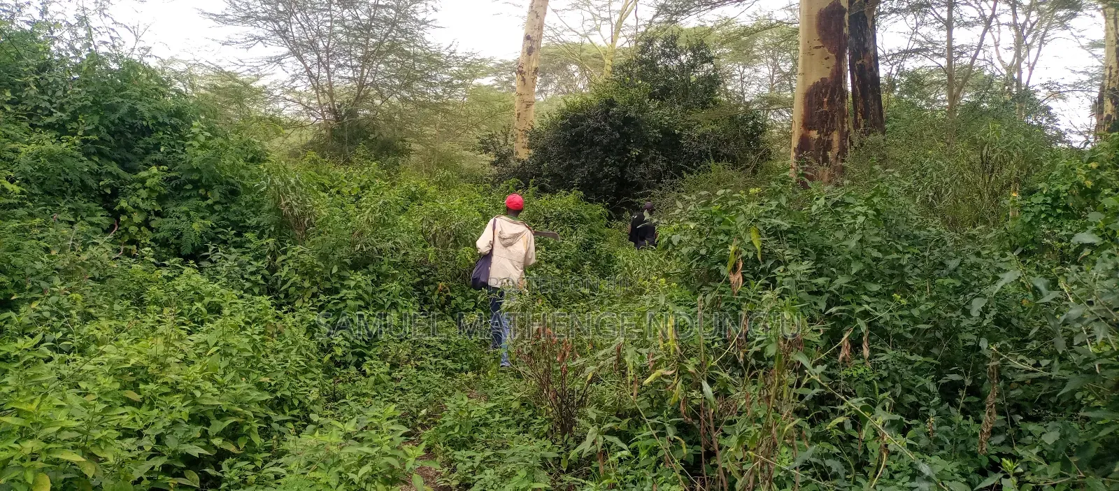 Lake Elementaita Land for Sale