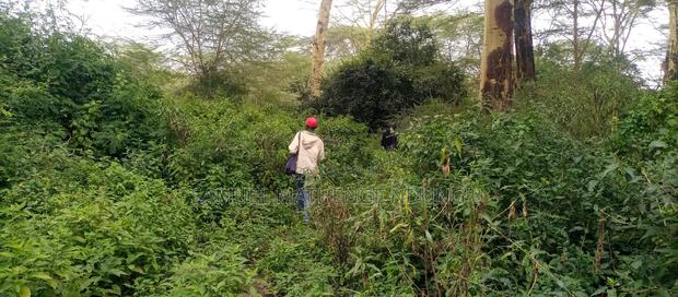 Lake Elementaita Land for Sale - thumbnail 13