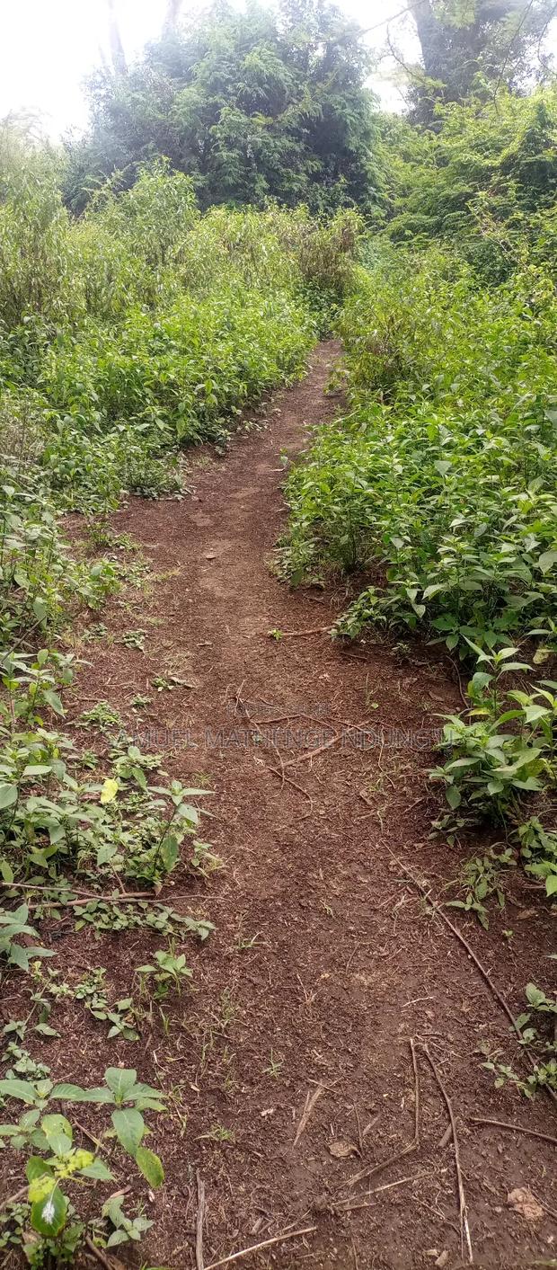 Lake Elementaita Land for Sale - thumbnail 14