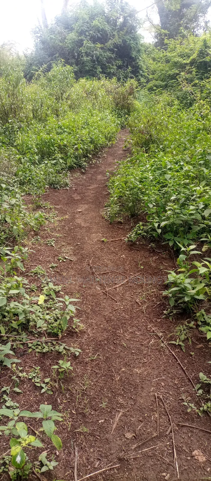 Lake Elementaita Land for Sale