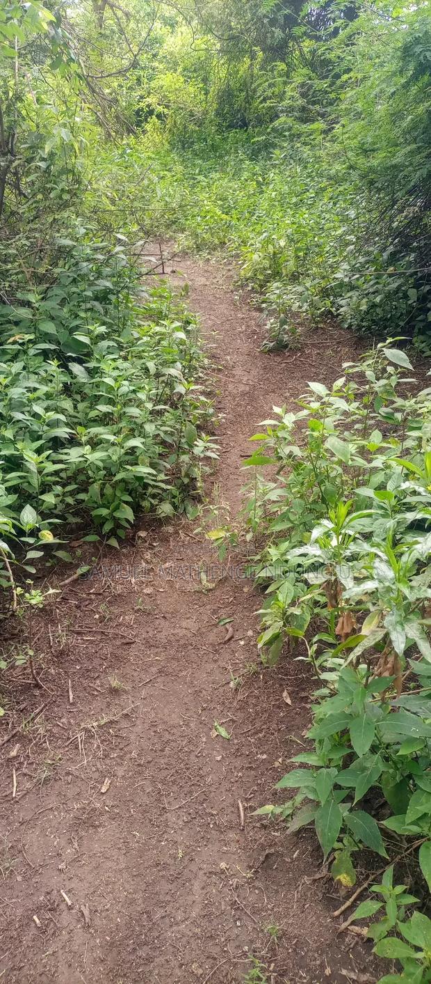 Lake Elementaita Land for Sale - thumbnail 15