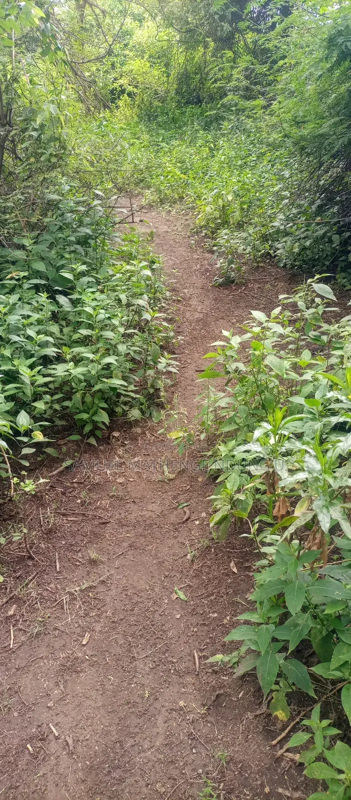 Lake Elementaita Land for Sale