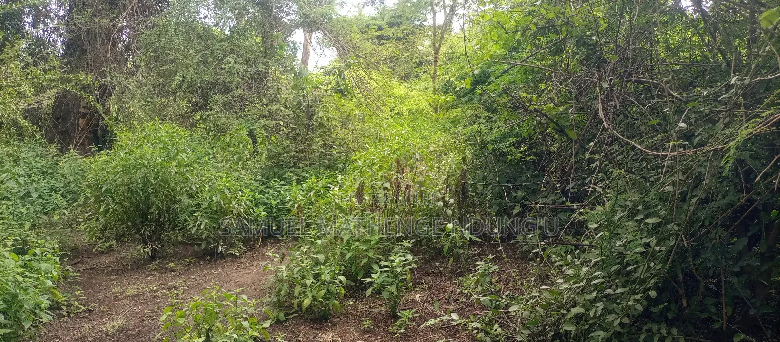 Lake Elementaita Land for Sale