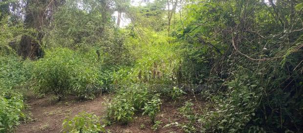 Lake Elementaita Land for Sale - thumbnail 16