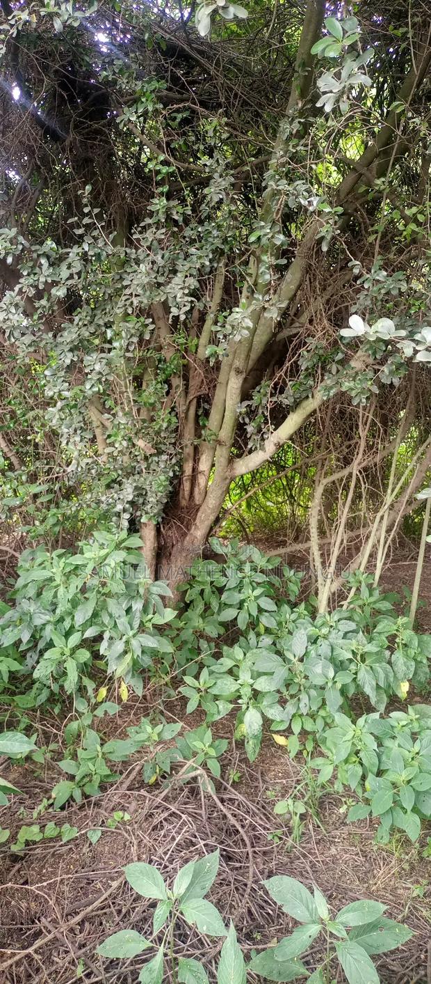 Lake Elementaita Land for Sale - thumbnail 17