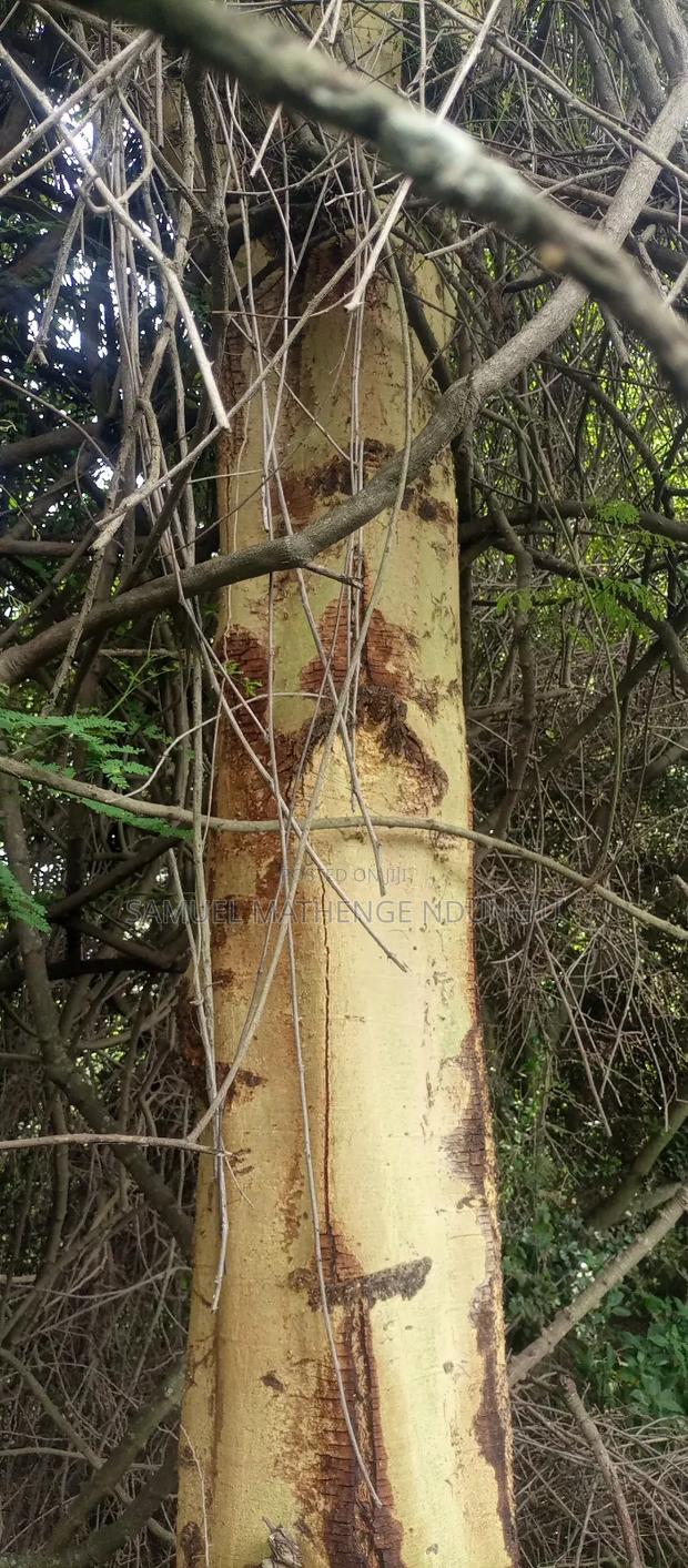 Lake Elementaita Land for Sale - thumbnail 18