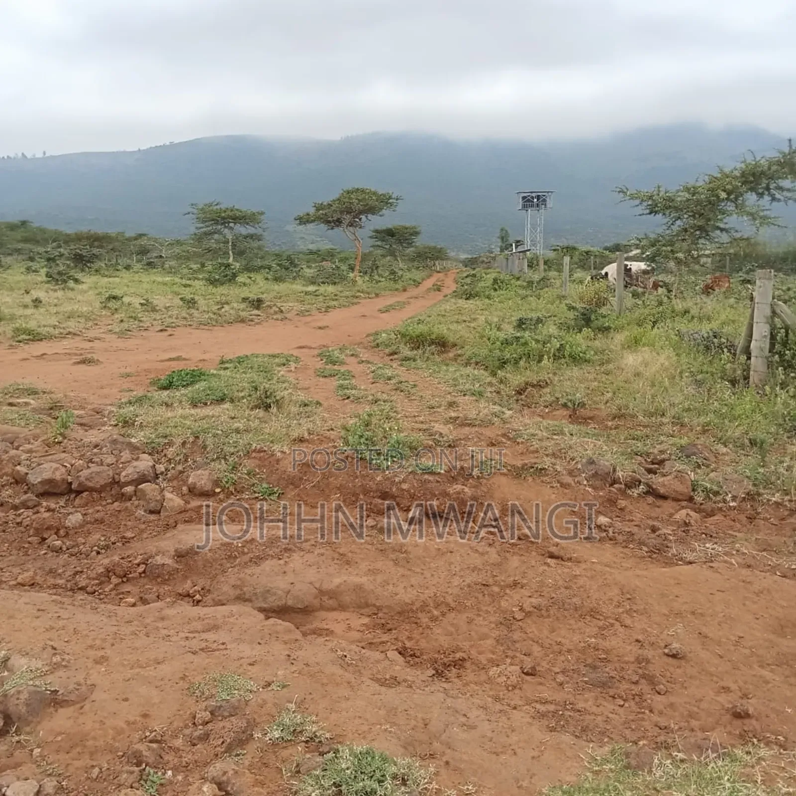 1/2 Acre Plot in Ngong -Kimuka