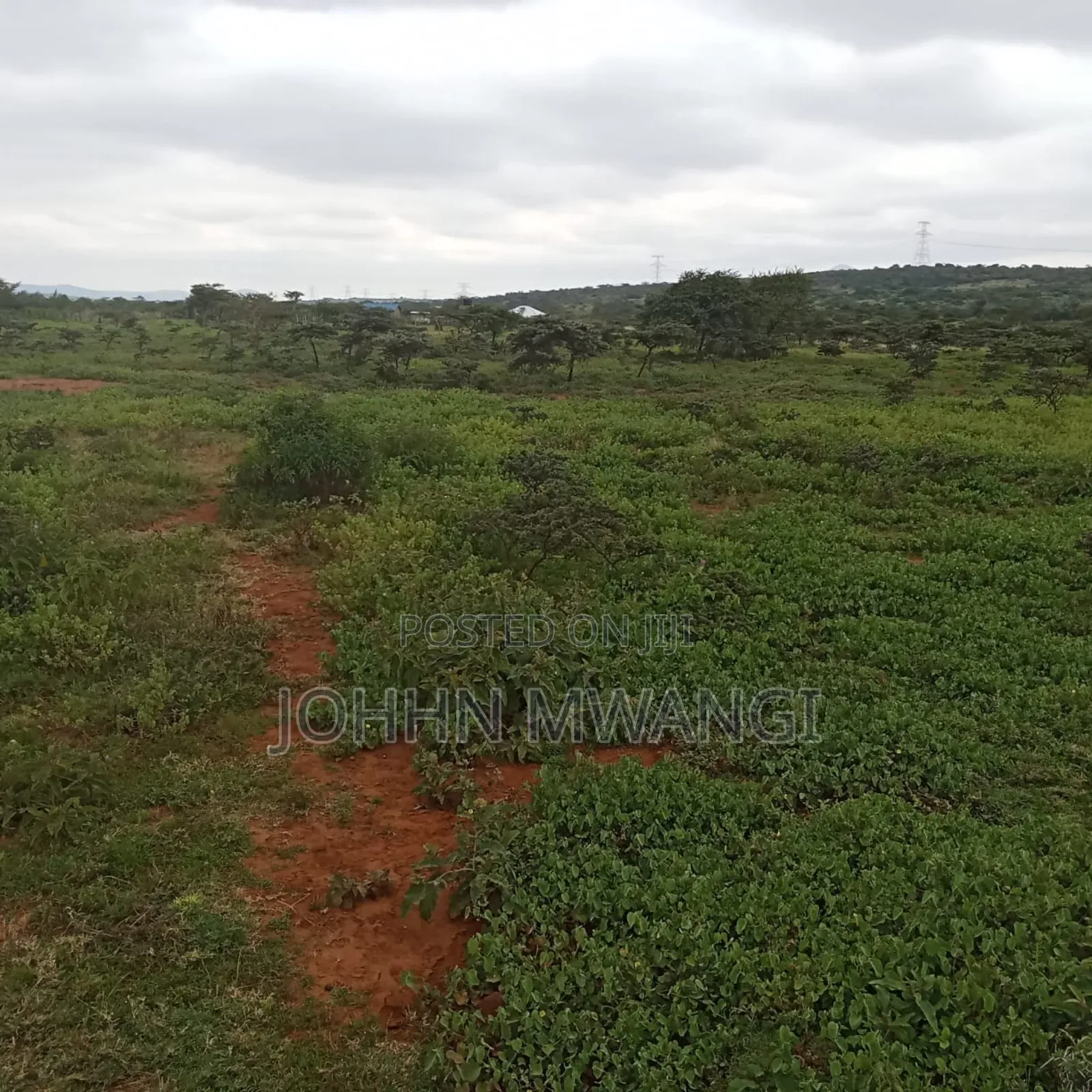 1/2 Acre Plot in Ngong -Kimuka