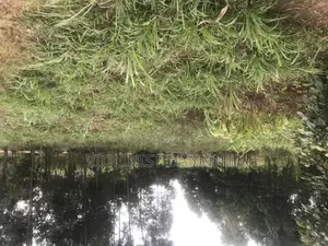 Plot on Sale at Kikuyu