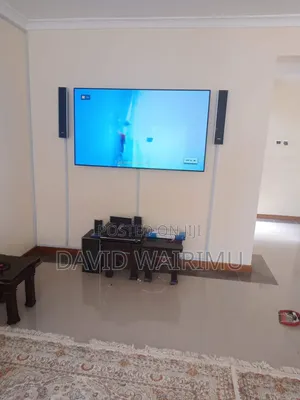 Professional DSTV Technician
