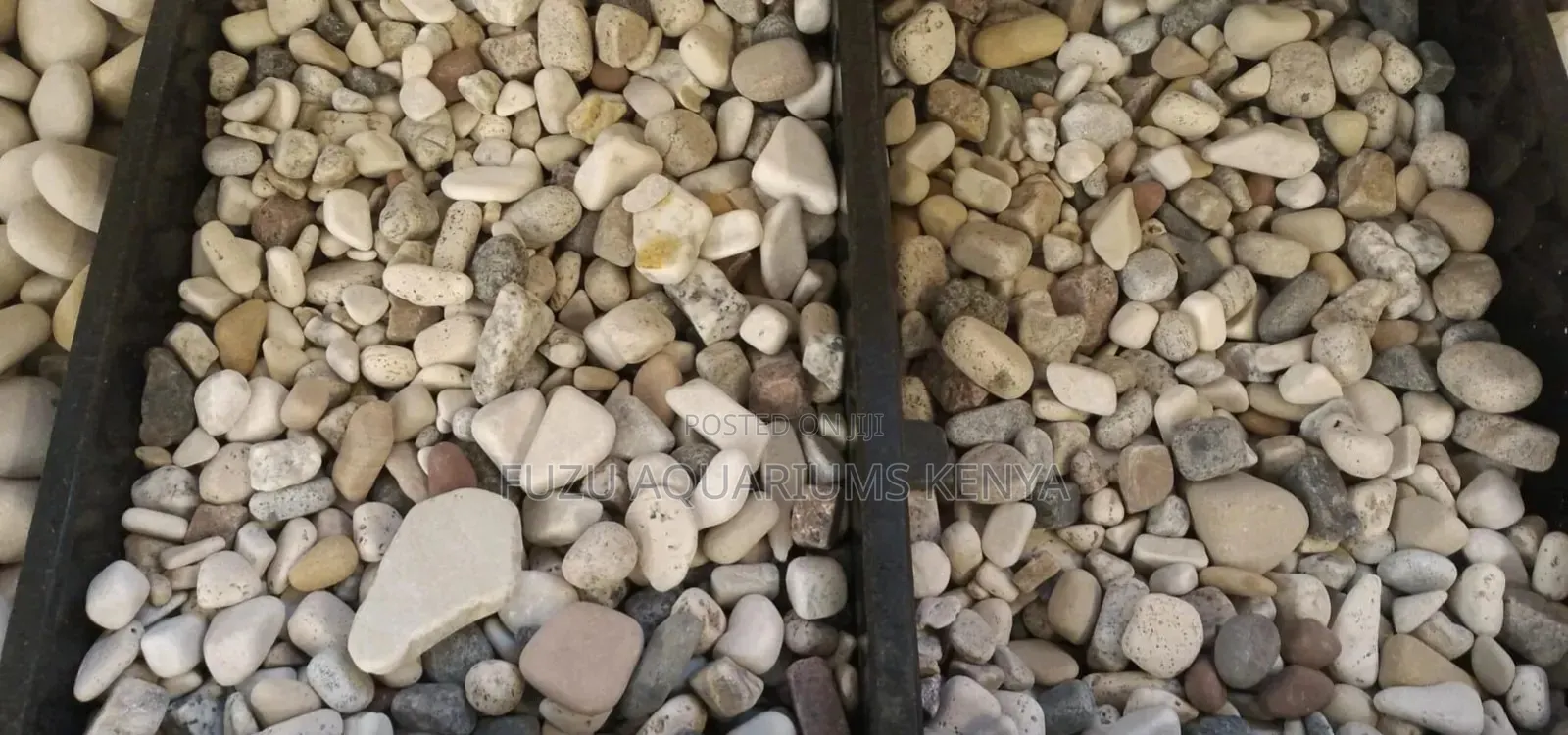 Aquarium Rocks (Assorted Colours)