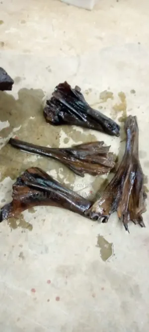 Original Imported Aquarium Driftwoods