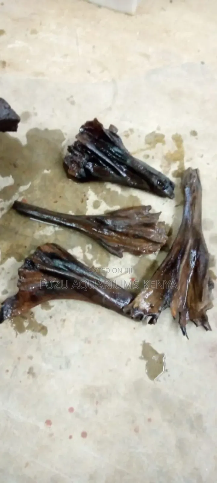 Original Imported Aquarium Driftwoods