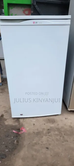 150L LG Mini Fridge