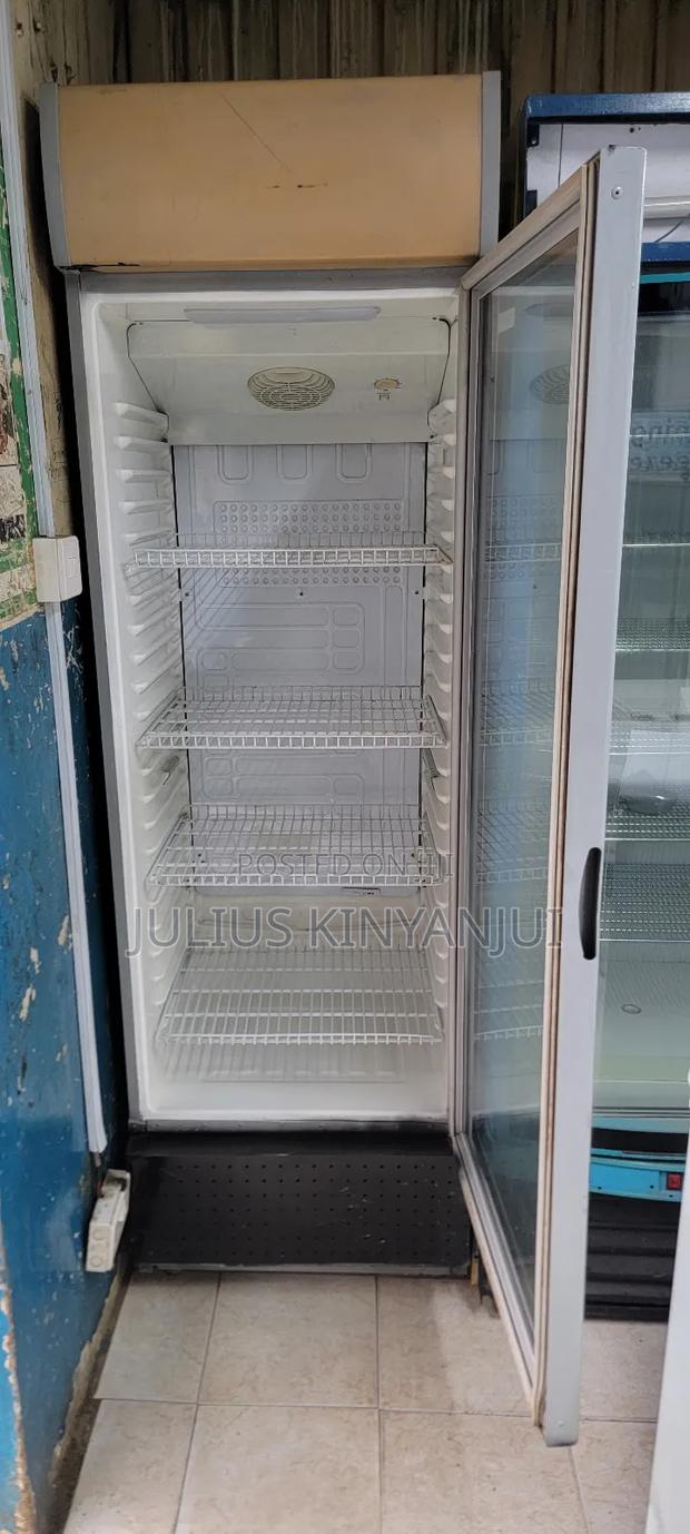 Display Fridge 400L