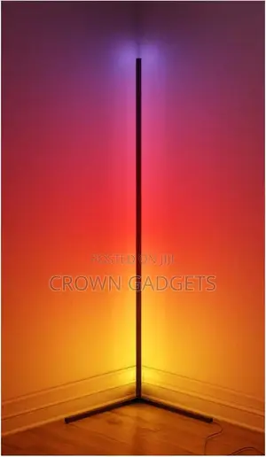 Minimalist Corner Dimmable Floor Lamp With Remote Control