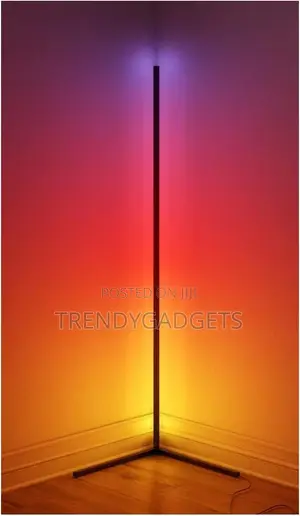 Minimalist Corner Dimmable Floor Lamp With Remote Control