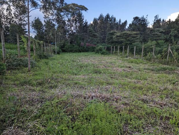 Prime 2 Plots 1/4acre for Sale Banana Town (Karuri, Kiambaa/Thimbigua)