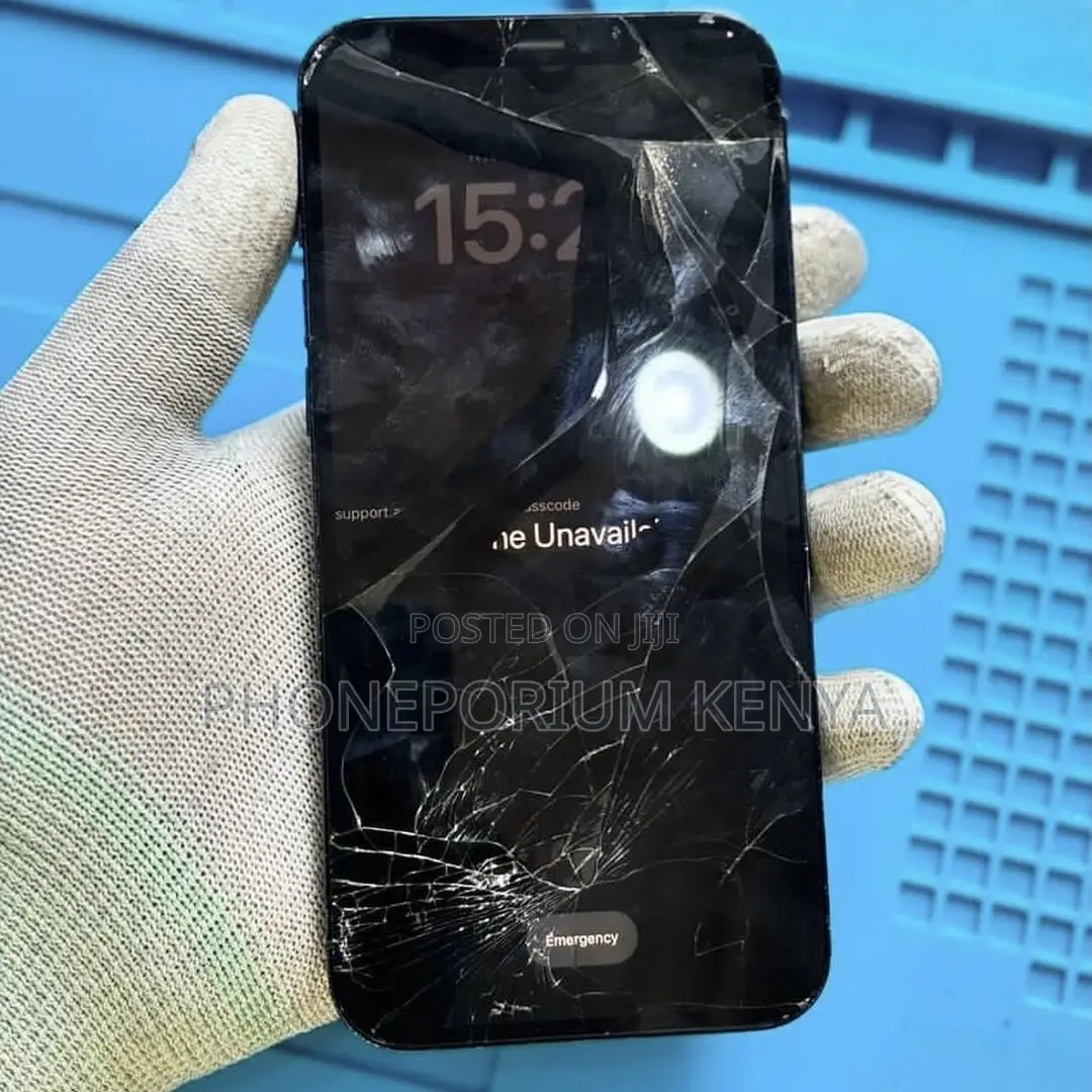iPhone Repair Services