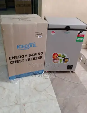 Quality Affordable Cool Icecool 109 Litres Freezer FIC6