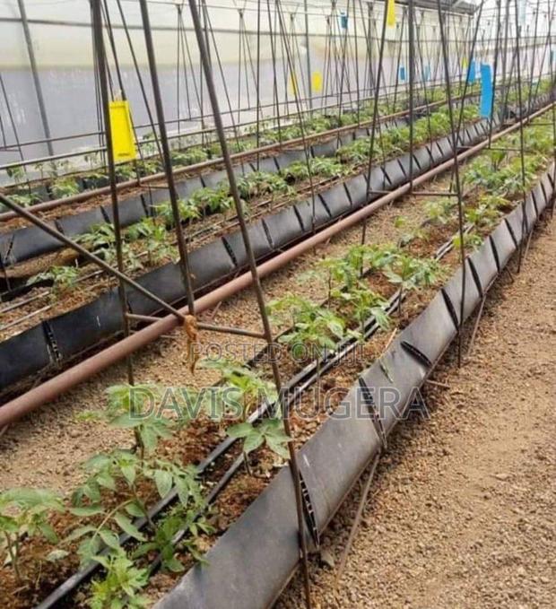 HDPE Sheet For Making Kitchen Gardens And Trough - Per Meter