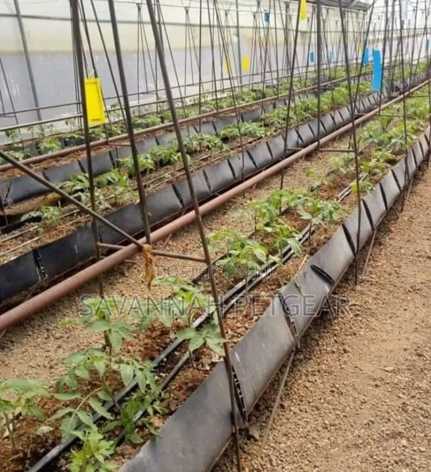 HDPE Sheet For Making Kitchen Gardens And Trough - Per Meter