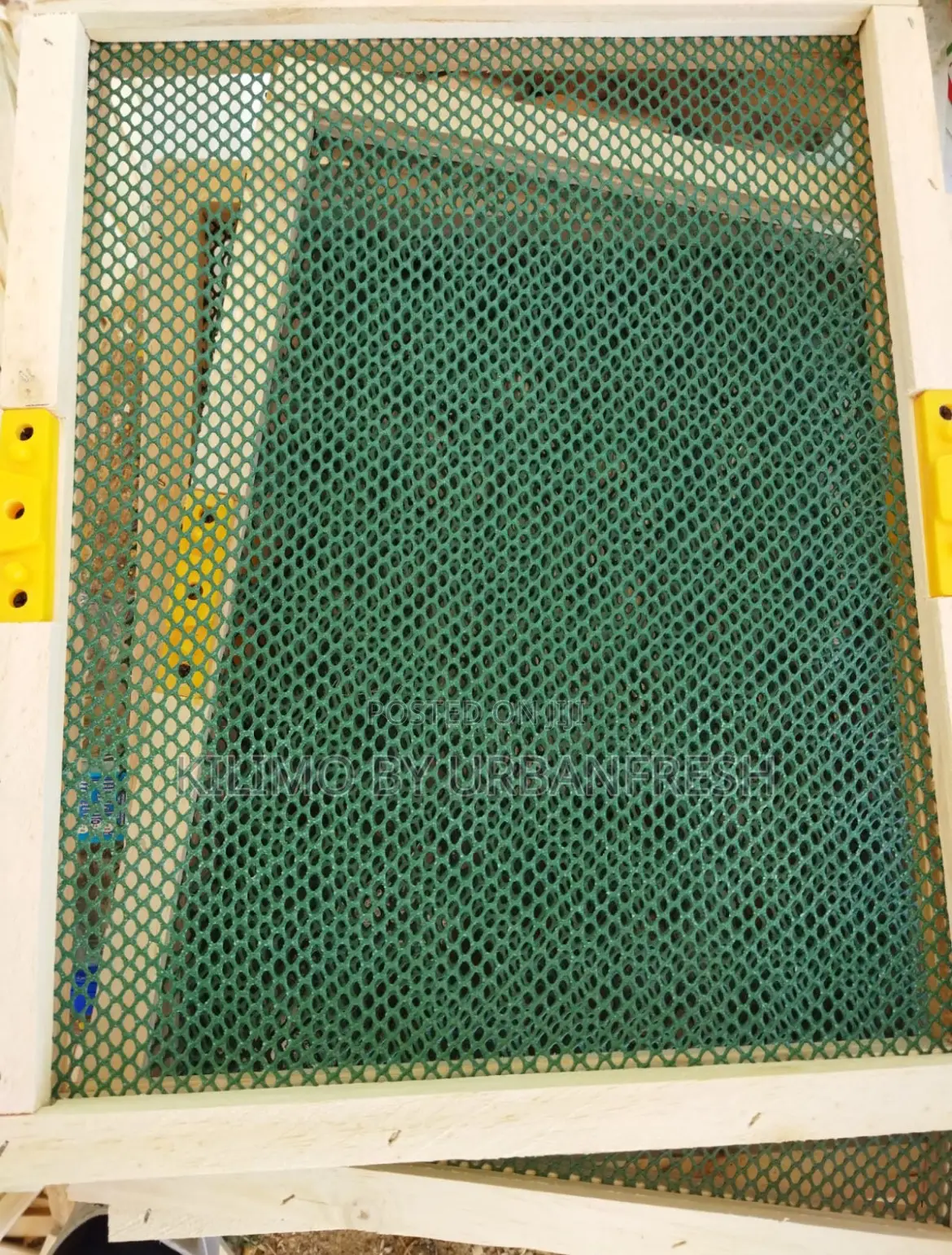Plastic Queen Excluder.