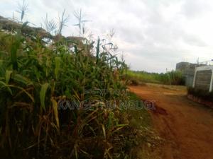 40x80 Plot Matropi Estate Kiambu - main view