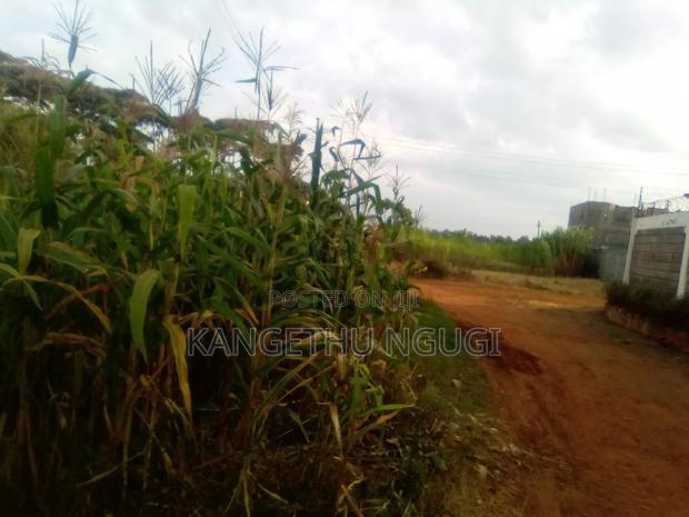 40x80 Plot Matropi Estate Kiambu