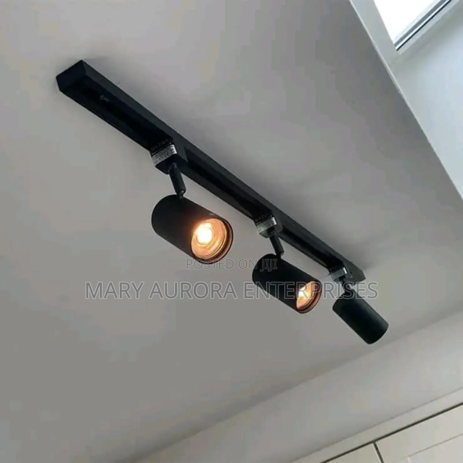 Track Lights/Ceiling Lights