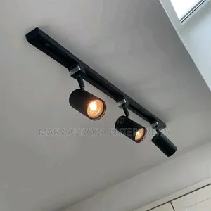 Track Lights/Ceiling Lights