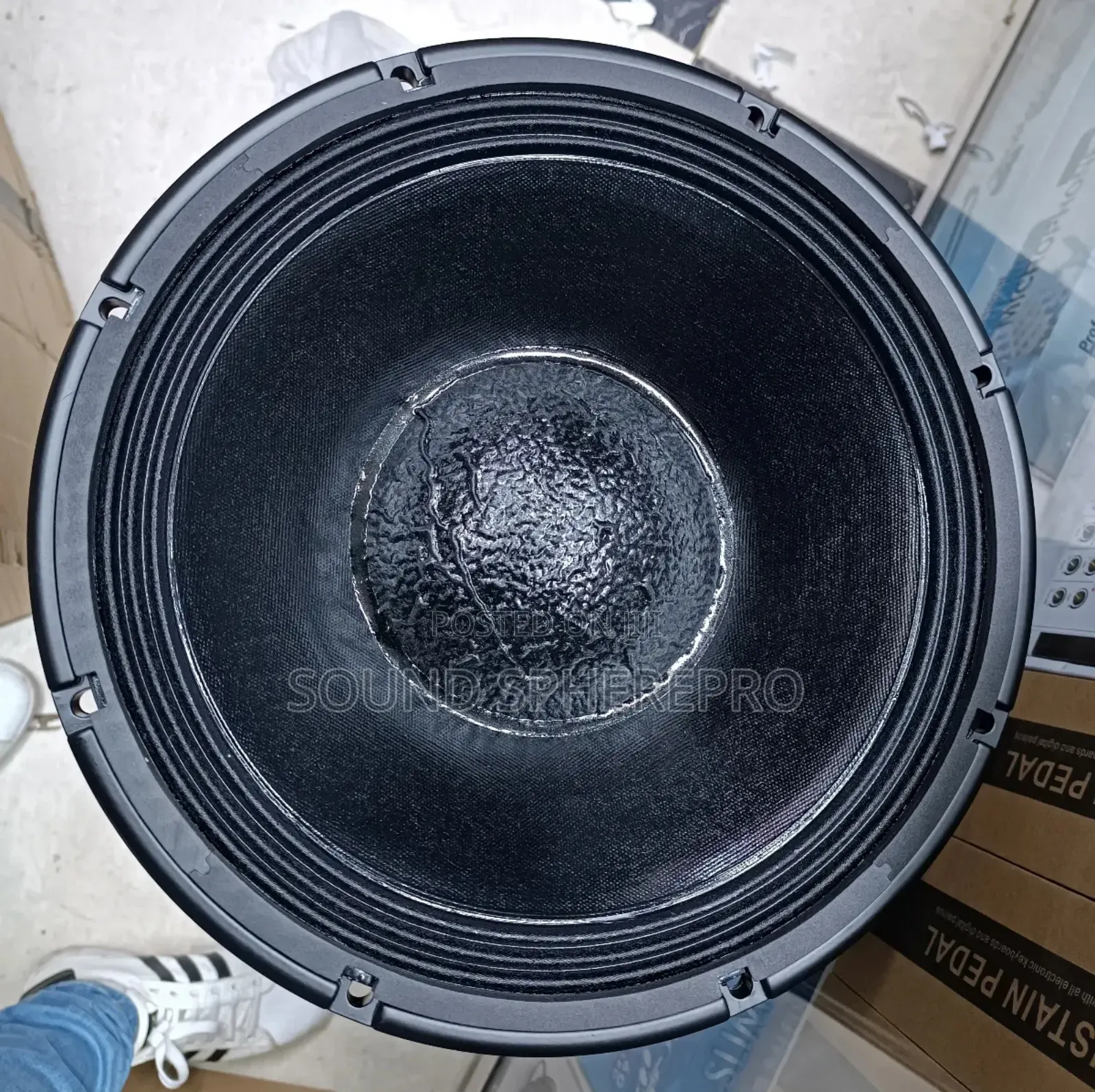 Derwel 12 WX401 12 Inch Mid-Bass Speaker