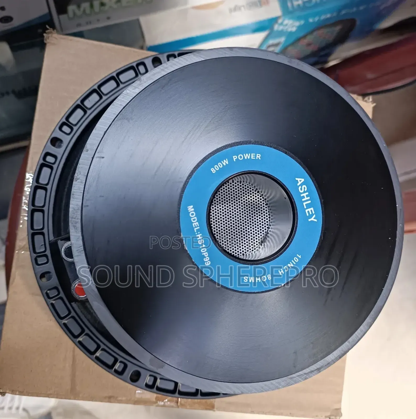 Ashley 10inch Naked Speaker
