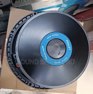 Ashley 10inch Naked Speaker