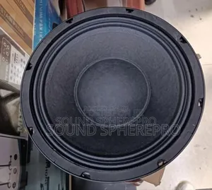 Ashley 10inch Naked Speaker