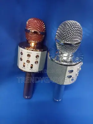 Karaoke Microphone With SD Card Port and Led Lights
