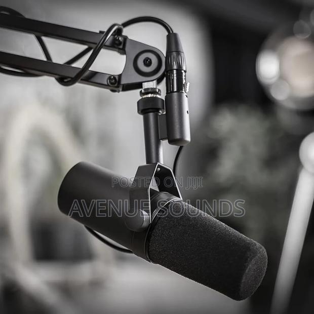 Shure SM7B Condenser Microphone - main view