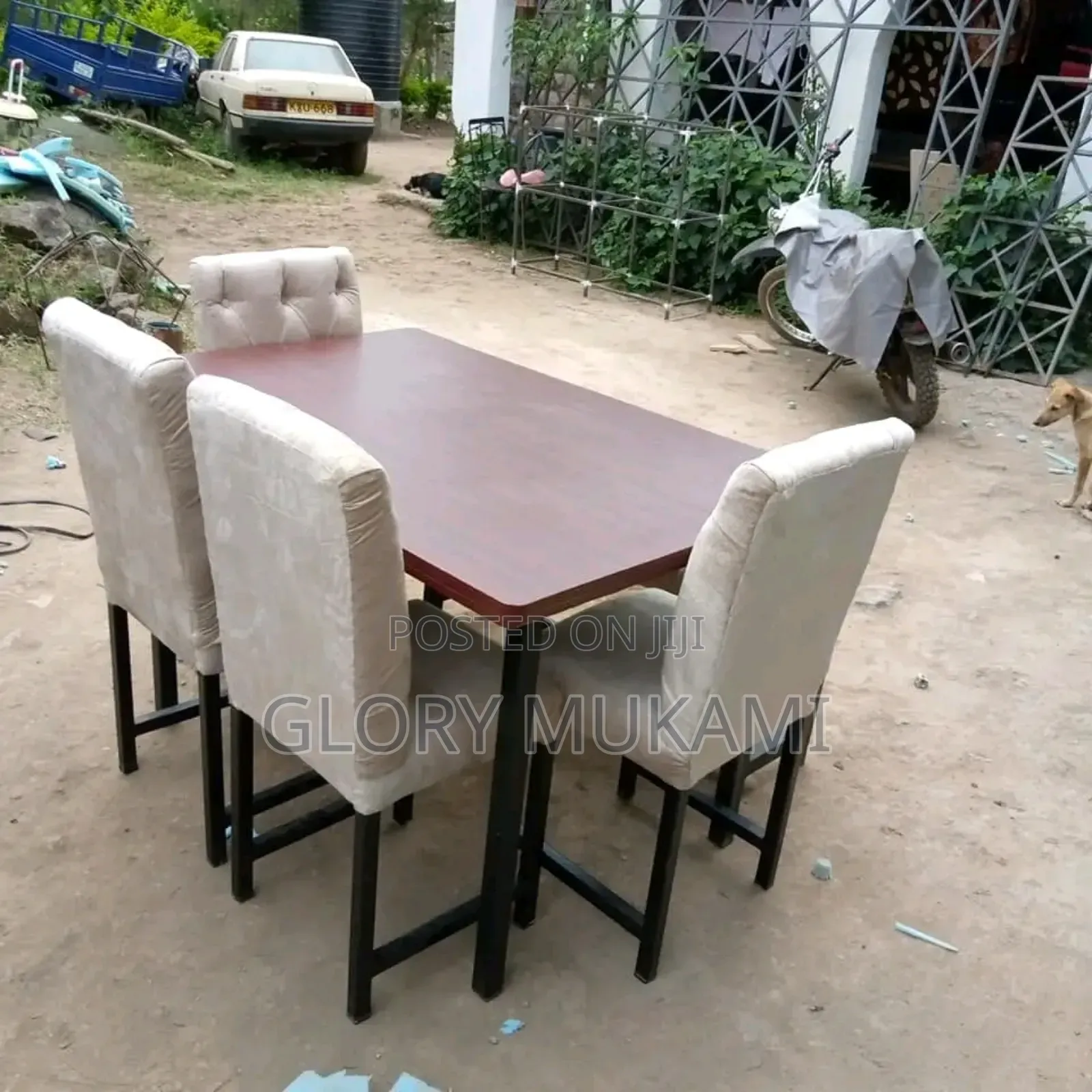 Quality Brand New Restaraunt Dinner Set